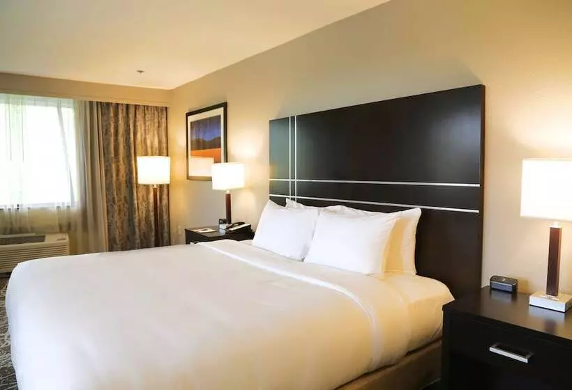 身障者適用スタンダードルーム, Doubletree By Hilton Boston Rockland