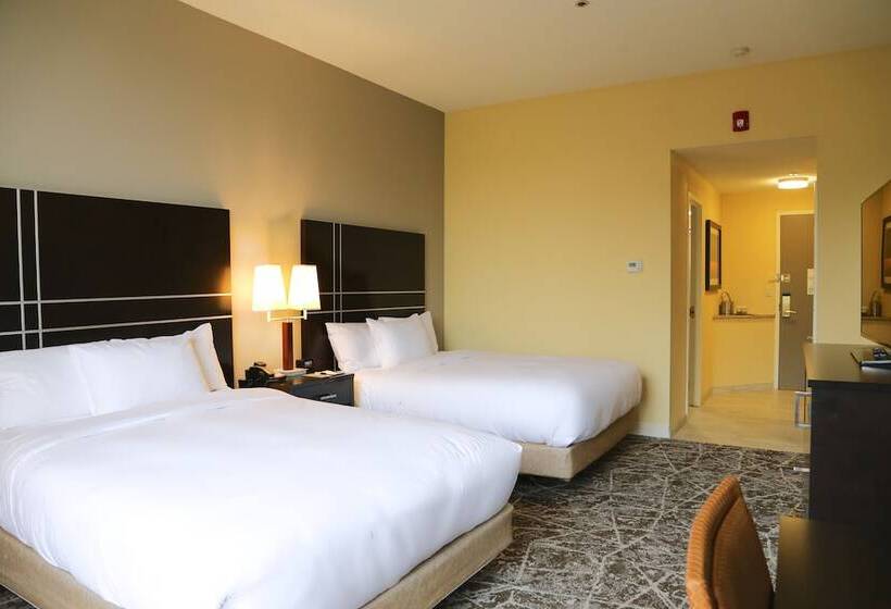 غرفة قياسية لذوى الاحتياجات الخاصة, Doubletree By Hilton Boston Rockland