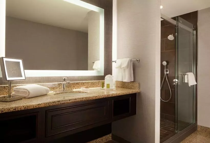 اتاق لوکس, Hilton Fort Worth