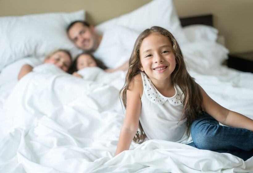 豪华房间, Hilton Fort Worth