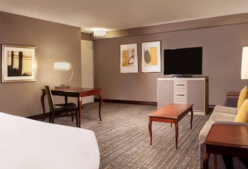 Habitació Deluxe, Hilton Fort Worth
