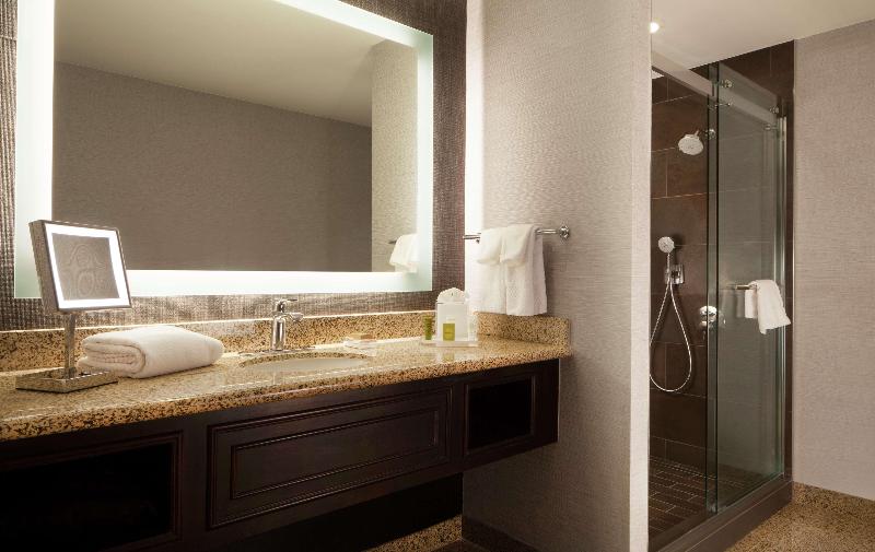 Habitació Deluxe, Hilton Fort Worth