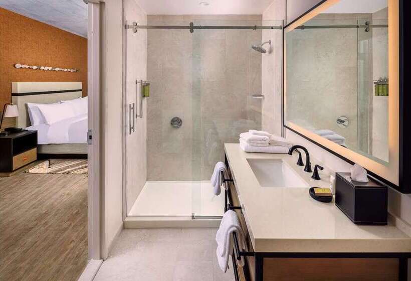 带大床的豪华间, Hilton Fort Worth