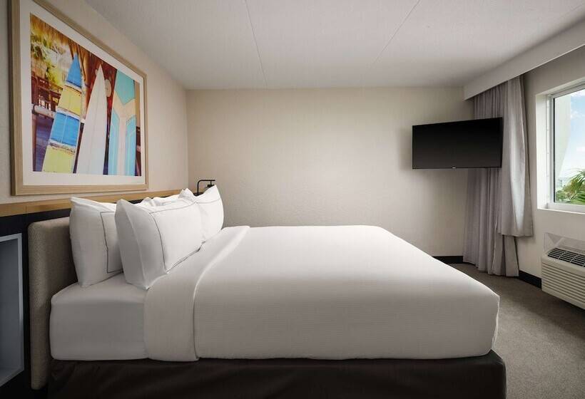 Deniz Manzaralı Çift Kişilik Yataklı Standart Oda, Hilton Garden Inn Cocoa Beach Oceanfront