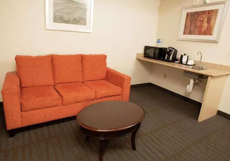 سوئیت با تخت بزرگ, Hilton Garden Inn Springfield, Il