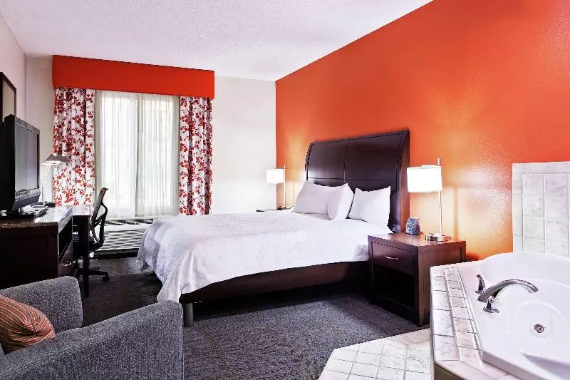 اتاق استاندارد با تخت بزرگ, Hilton Garden Inn Springfield, Il