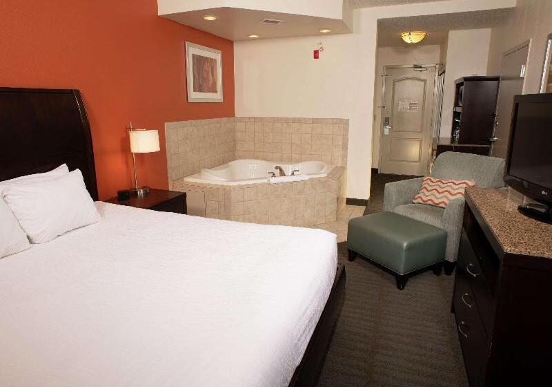 Стандартный Номер Кровать Кинг, Hilton Garden Inn Springfield, Il