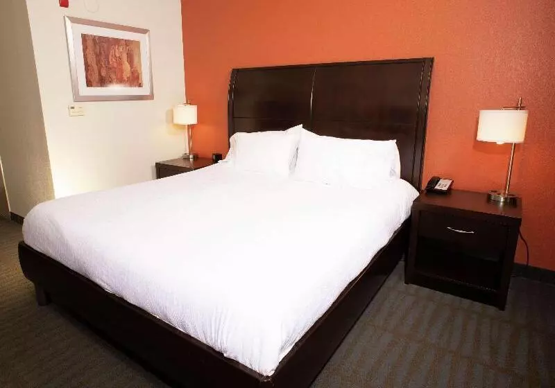 اتاق پرمیوم, Hilton Garden Inn Springfield, Il