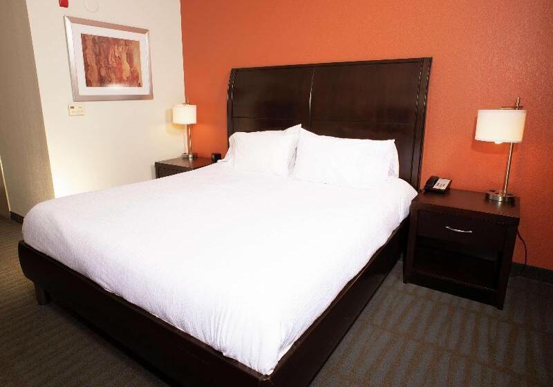 Стандартный Номер Кровать Кинг, Hilton Garden Inn Springfield, Il