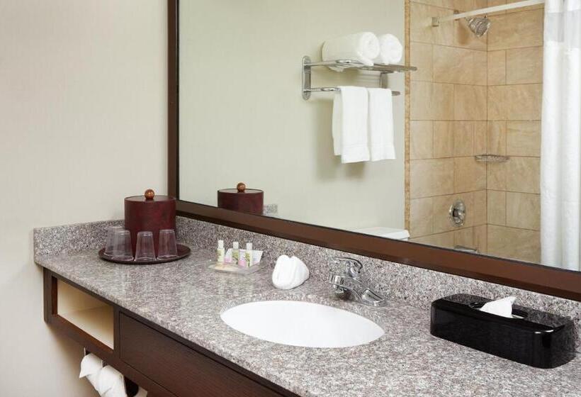 장애인을 위한 킹사이즈 침대 스탠다드 룸, Holiday Inn Chicago Matteson Conf Center, An Ihg