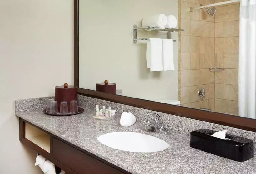 Standard-invahuone King-vuode, Holiday Inn Chicago Matteson Conf Center, An Ihg