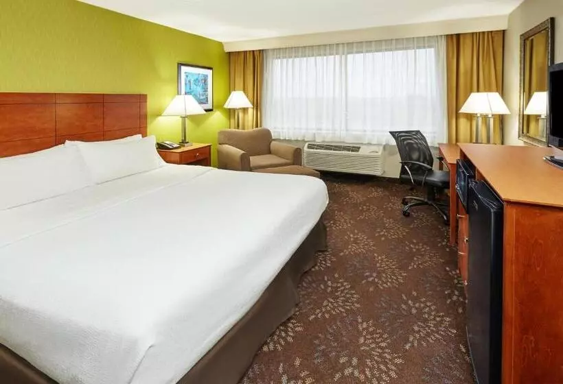 Standard-invahuone King-vuode, Holiday Inn Chicago Matteson Conf Center, An Ihg