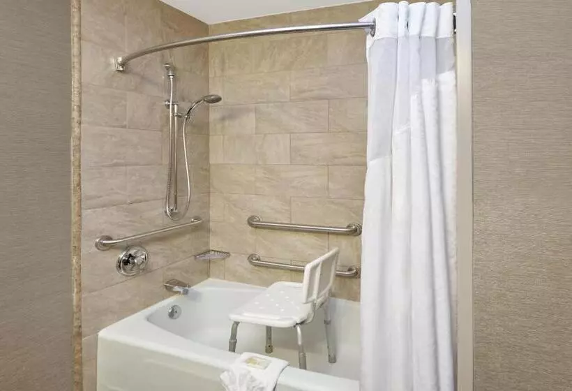 Standard-invahuone King-vuode, Holiday Inn Chicago Matteson Conf Center, An Ihg
