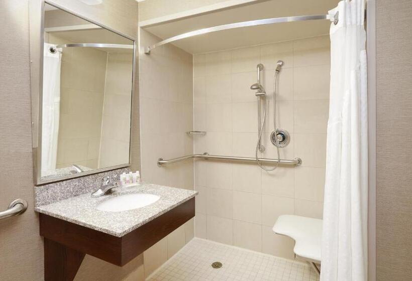 장애인을 위한 킹사이즈 침대 스탠다드 룸, Holiday Inn Chicago Matteson Conf Center, An Ihg