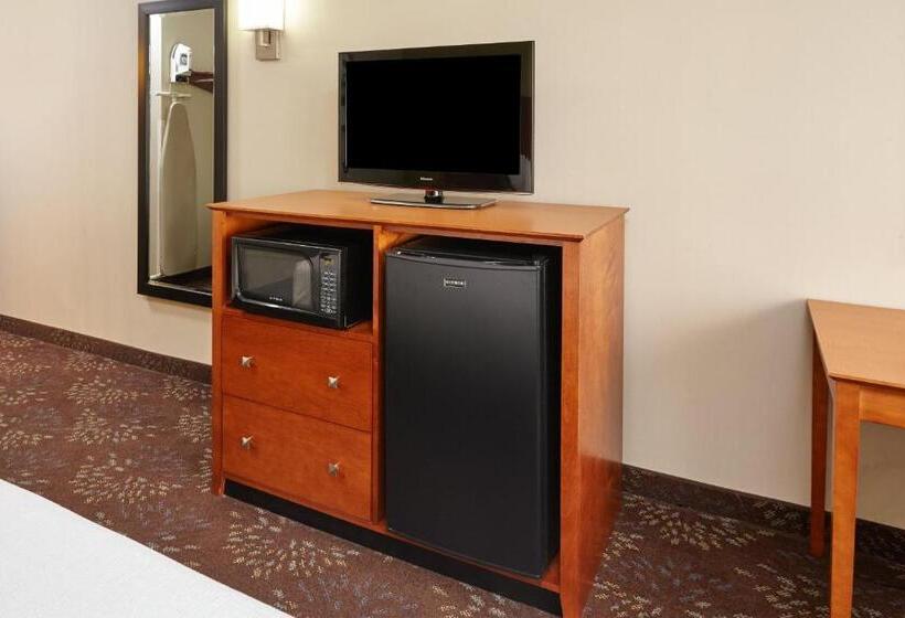 스탠다드 룸 킹사이즈 침대, Holiday Inn Chicago Matteson Conf Center, An Ihg