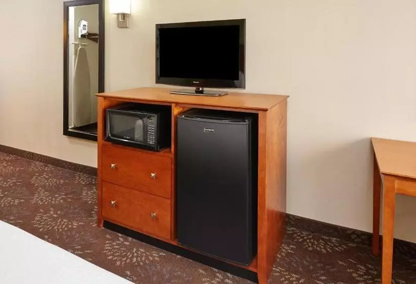 Standard-huone King-vuode, Holiday Inn Chicago Matteson Conf Center, An Ihg