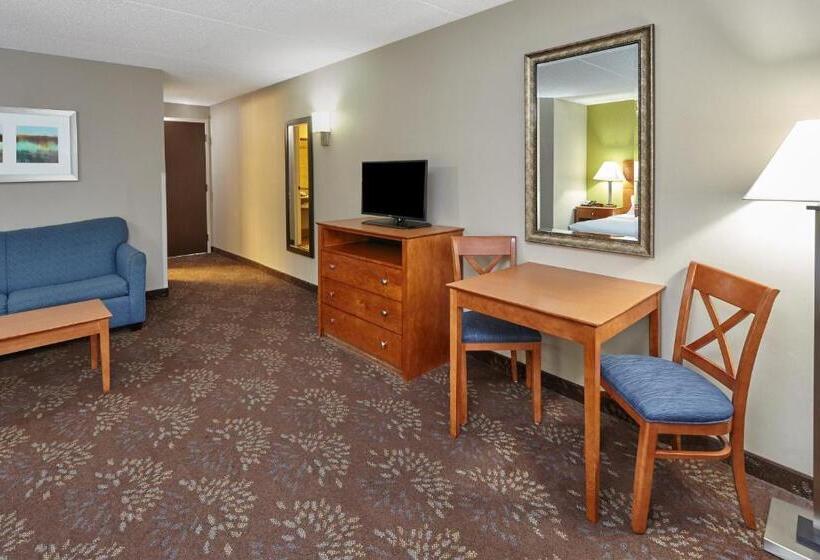 חדר סטנדרט עם מיטת קינג, Holiday Inn Chicago Matteson Conf Center, An Ihg