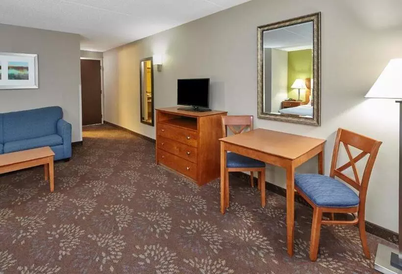Standard-huone King-vuode, Holiday Inn Chicago Matteson Conf Center, An Ihg