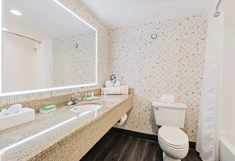 2ダブルベッドのスタンダードルーム, Holiday Inn Chicago Nw Crystal Lk Conv Ctr, An Ihg