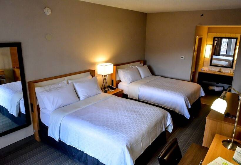 חדר סטנדרט שתי מיטות זוגיות, Holiday Inn El Paso West   Sunland Park By Ihg