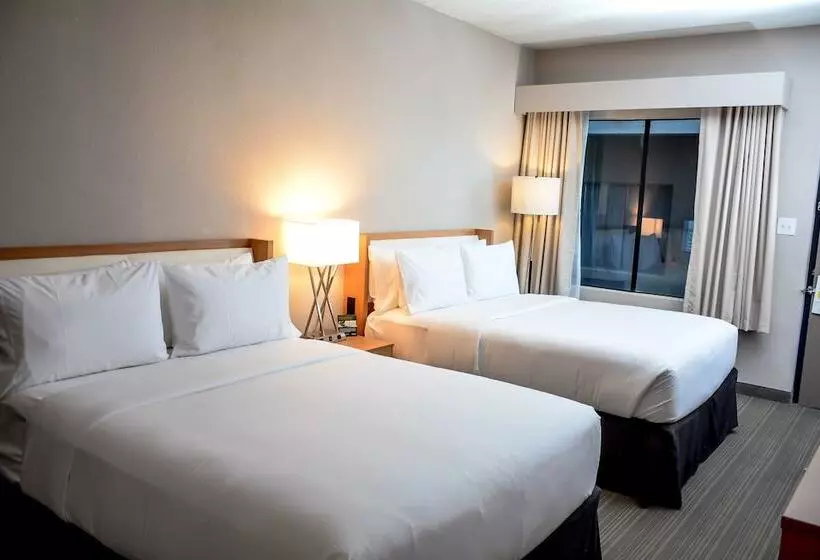 ２ダブルベッドのスタンダードルーム, Holiday Inn El Paso West   Sunland Park By Ihg