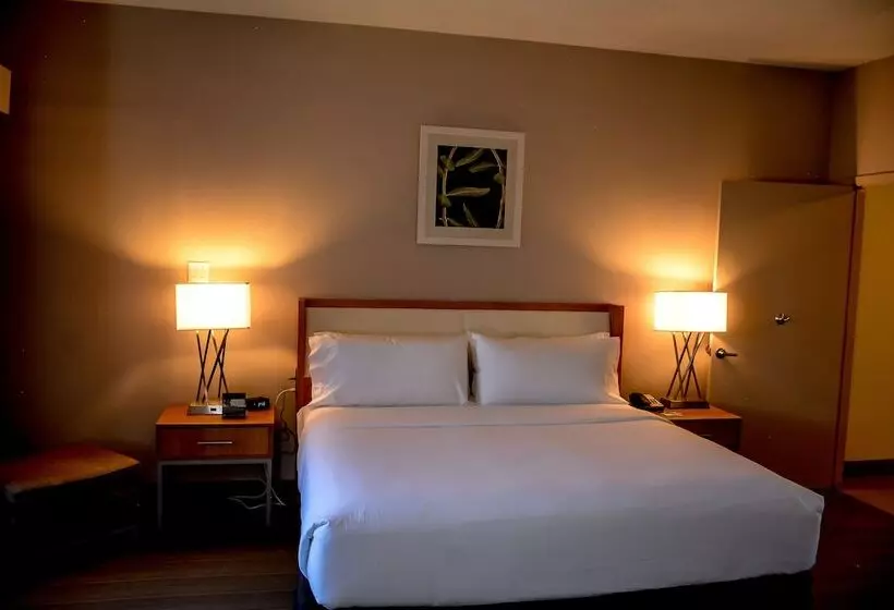 ２ダブルベッドのスタンダードルーム, Holiday Inn El Paso West   Sunland Park By Ihg