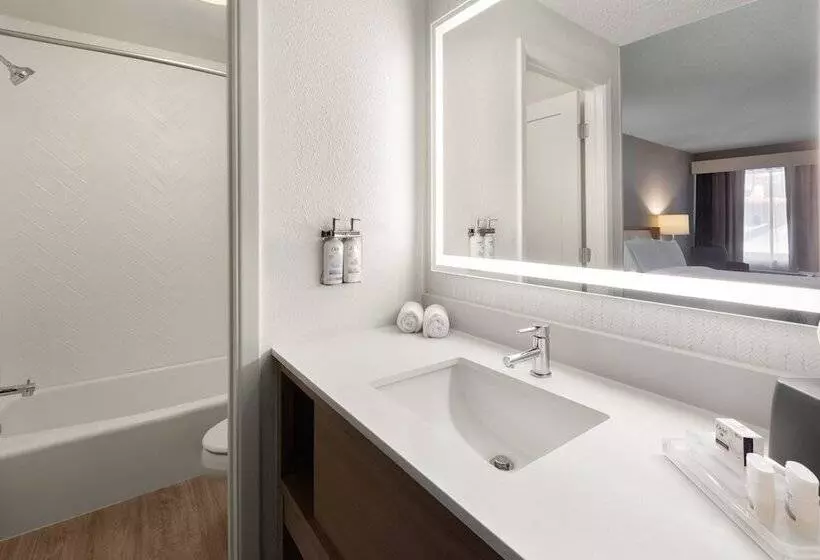 ２ダブルベッドのスタンダードルーム, Holiday Inn El Paso West   Sunland Park By Ihg