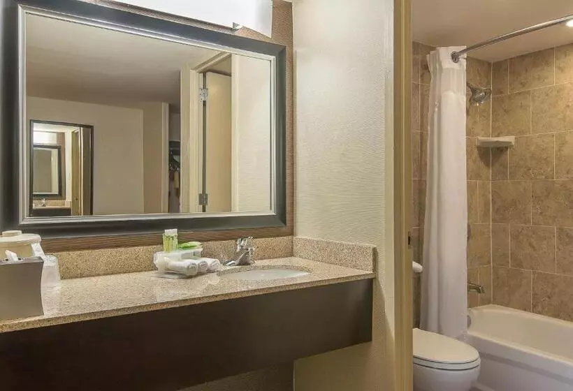 اتاق استاندارد با تخت بزرگ, Holiday Inn Express Philadelphia Midtown, An Ihg