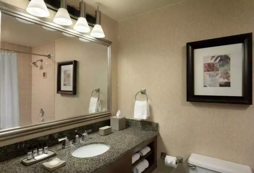 デラックスルーム, Hyatt Regency Houston West