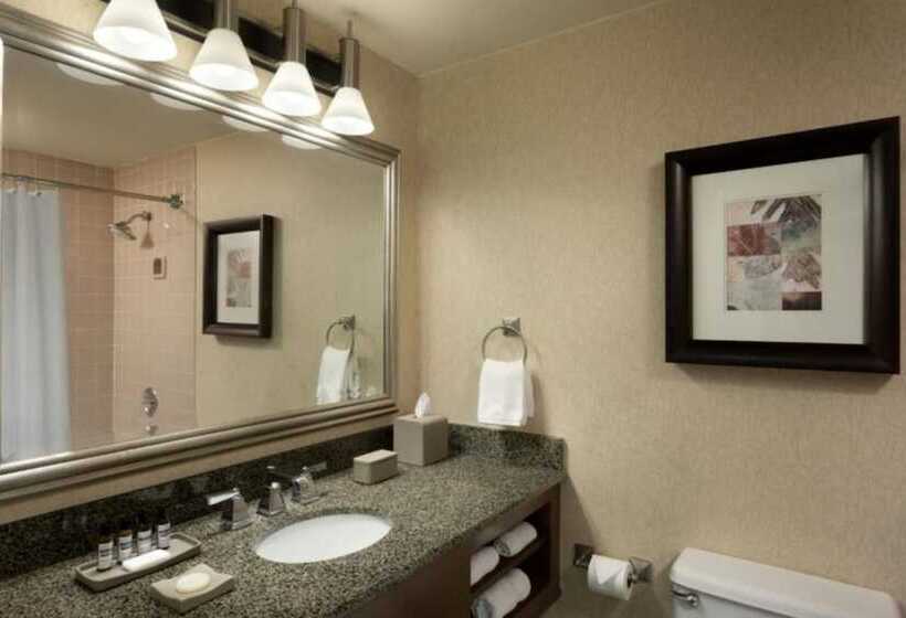 Lakosztály, Hyatt Regency Houston West