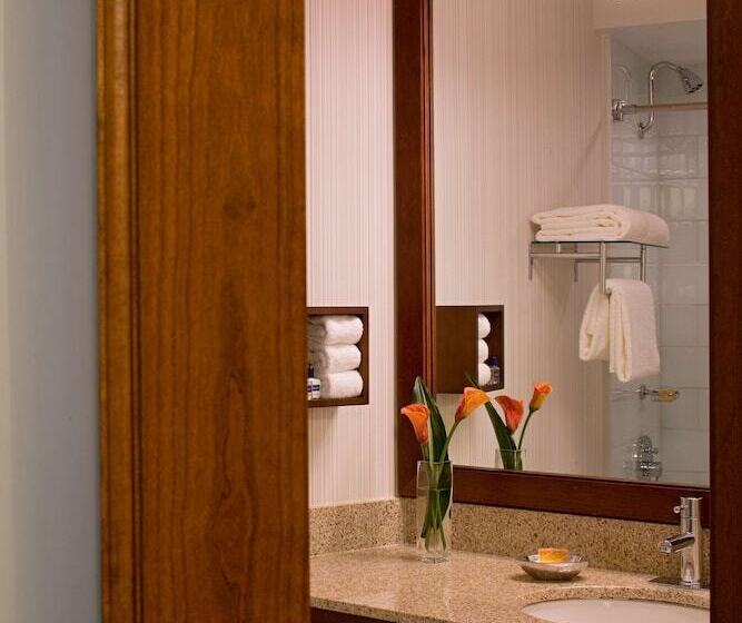 غرفه قياسيه سريرين مزدوجين, Hyatt Regency New Brunswick