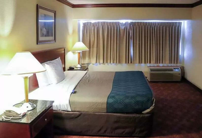 キングサイズベッドのスタンダードルーム, Rodeway Inn