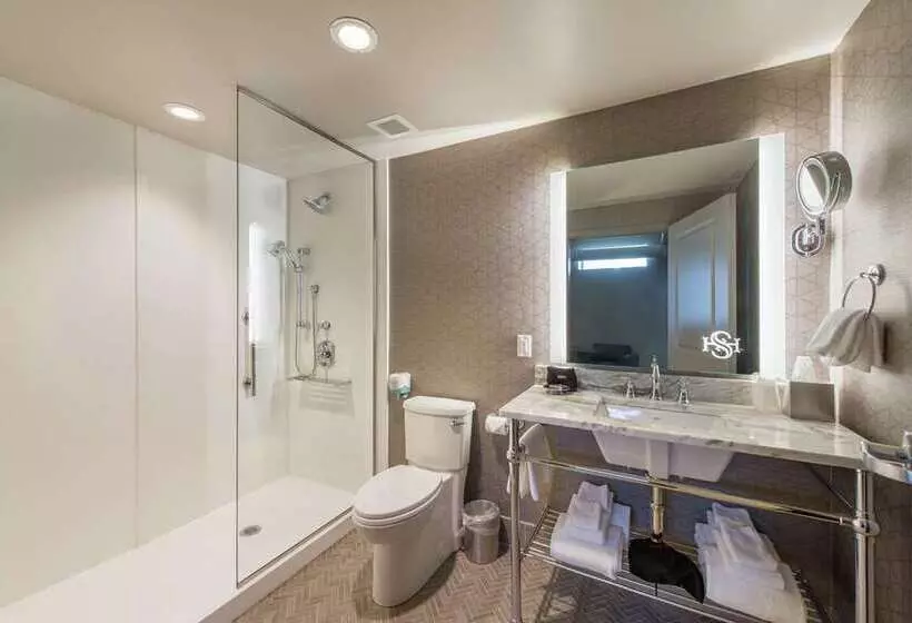 استودیو استاندارد با تخت کینگ, Saranac Curio Collection By Hilton