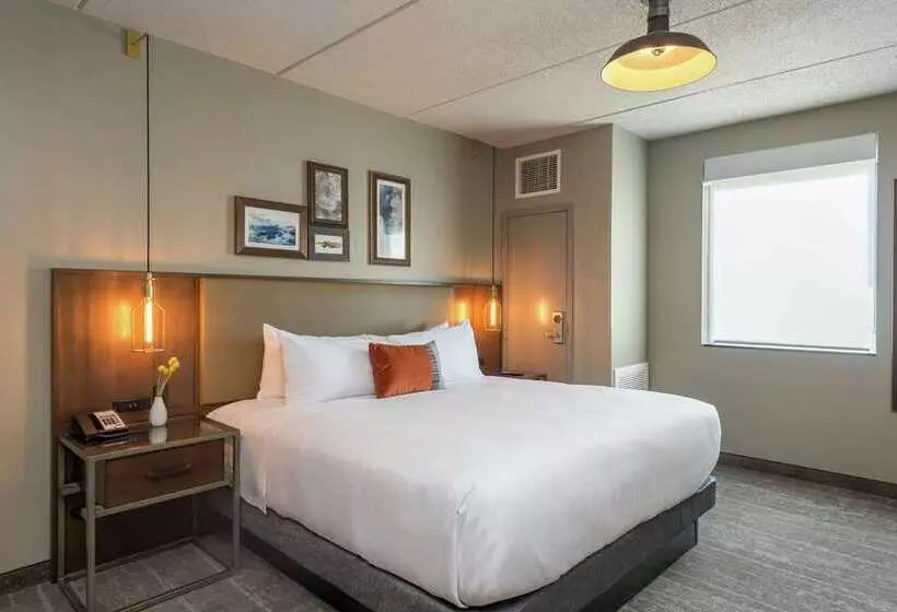 استودیو استاندارد با تخت کینگ, Saranac Curio Collection By Hilton