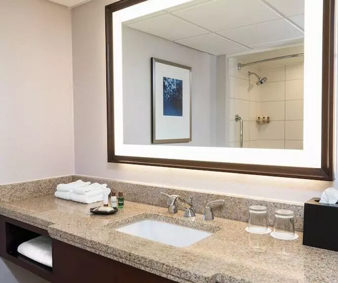 ダブルベッドのクラシックルーム, Sheraton Memphis Downtown