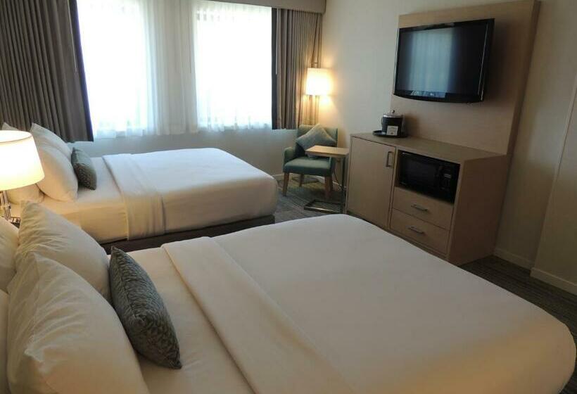 غرفة قياسية, The Inn At Longwood Medical