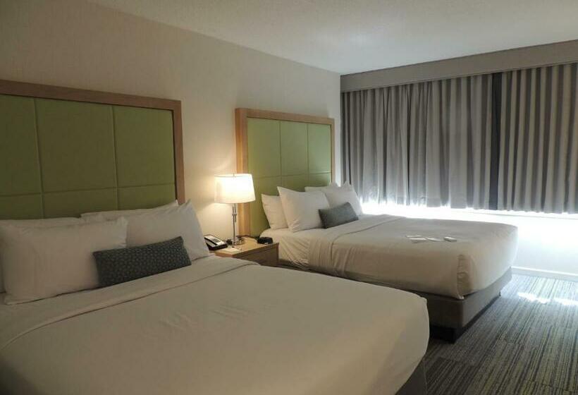 غرفة قياسية, The Inn At Longwood Medical