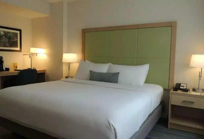 اتاق استاندارد با تخت بزرگ, The Inn At Longwood Medical