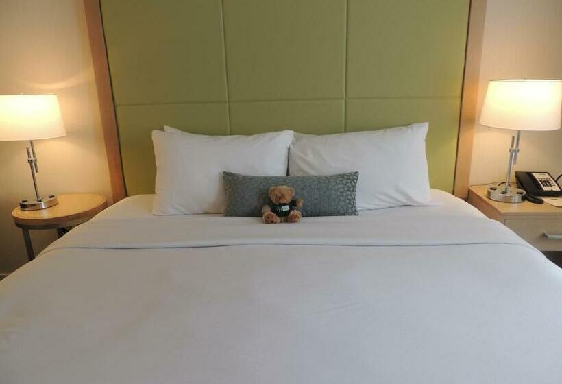 غرفة قياسية سرير كينج, The Inn At Longwood Medical