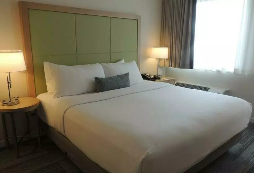 اتاق سوپریور با تخت بزرگ, The Inn At Longwood Medical
