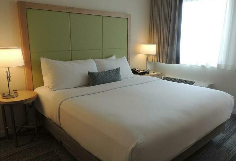 غرفة قياسية, The Inn At Longwood Medical