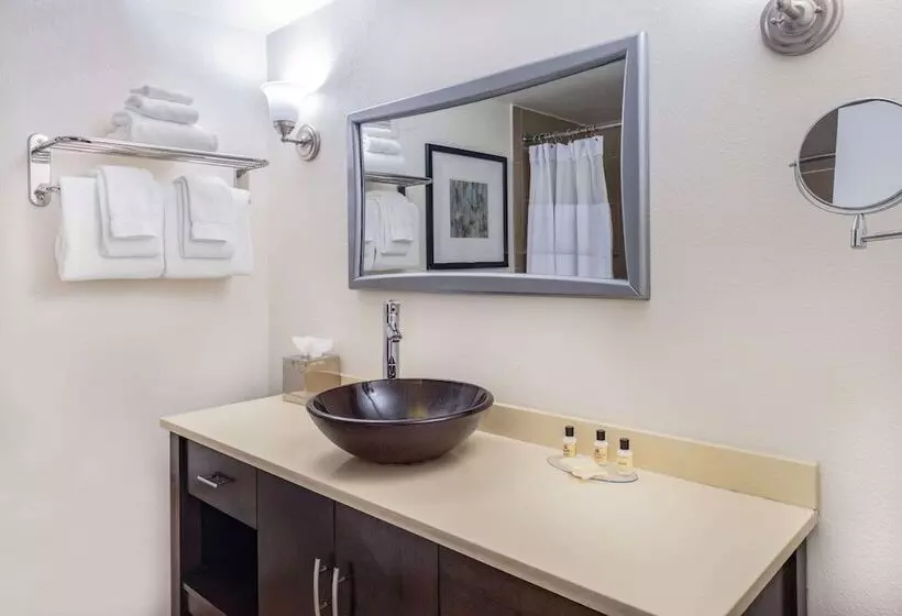 Standard-huone 2 Parivuodetta, Wyndham Sacramento
