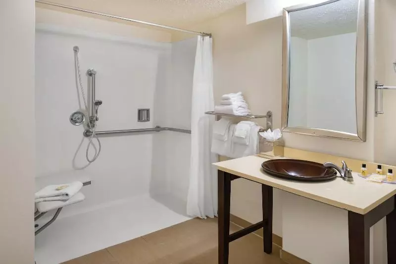 身障者適用キングサイズベッドルーム, Wyndham Sacramento