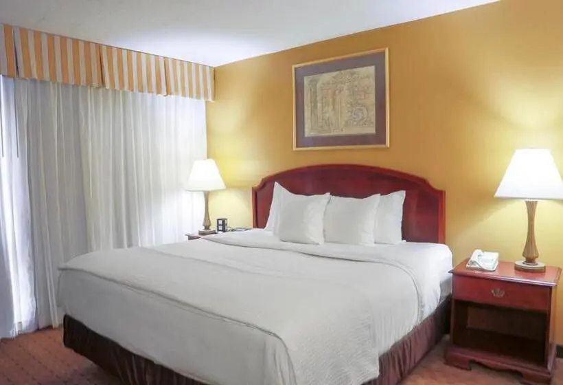 キングサイズベッドのスイートルーム, Mcm Elegante Hotel & Suites Lubbock