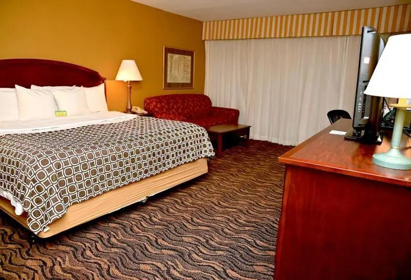 Standard Room King Bed Adapted for people with reduced mobility