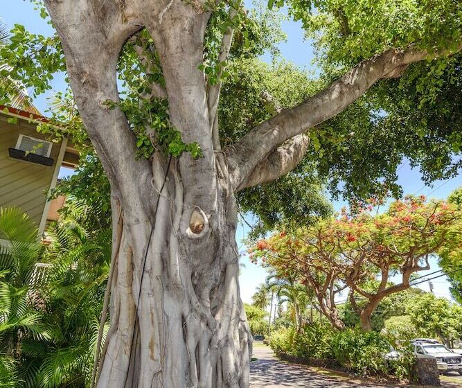 Апартаменты 2 Спальни, Aina Nalu C204