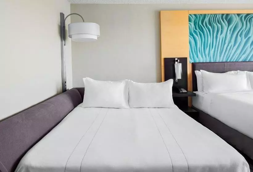 スタンダードルーム, Boca Raton Marriott At Boca Center