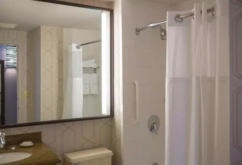 اتاق استاندارد با تخت بزرگ, Courtyard By Marriott New York Manhattan/fifth Avenue