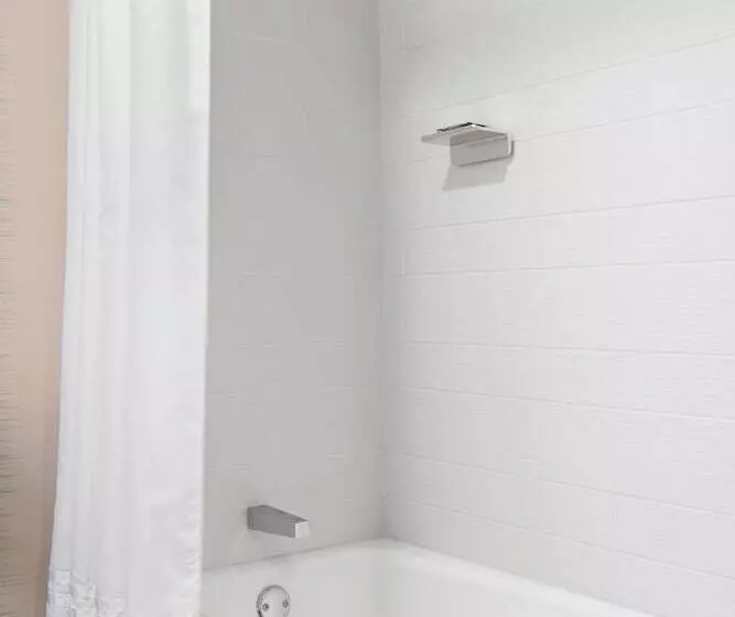 اتاق استاندارد با 2 تخت دوبل, Des Moines Marriott Downtown
