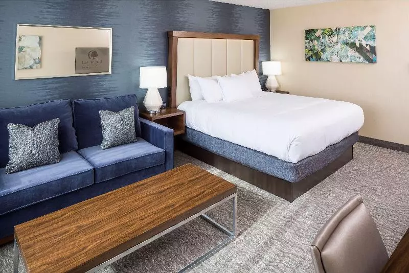 キングサイズベッドのスタンダードルーム, Doubletree By Hilton Boston  Andover